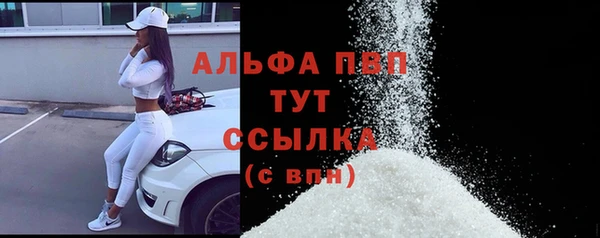винт Абаза