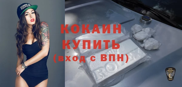 винт Абаза