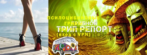 крисы Абинск