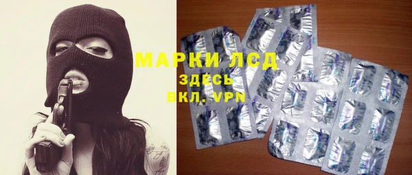 винт Абаза