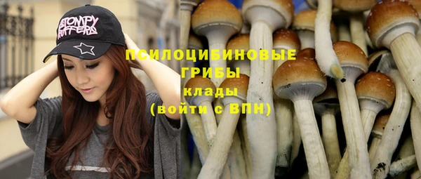 винт Абаза