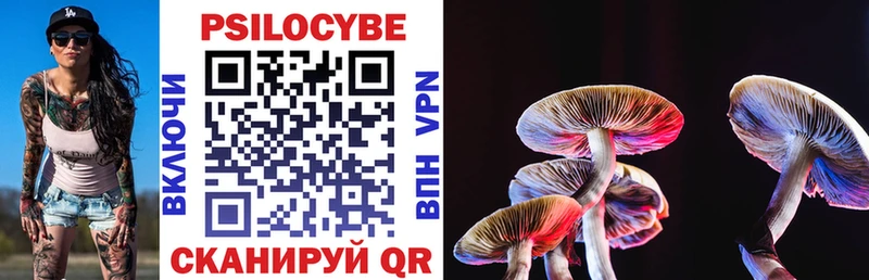 Псилоцибиновые грибы GOLDEN TEACHER Ленинградская